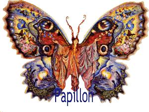 papillon3.gif